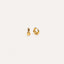 The Croissant Hoop in Gold