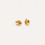 The Everyday Domed Hoop In Gold